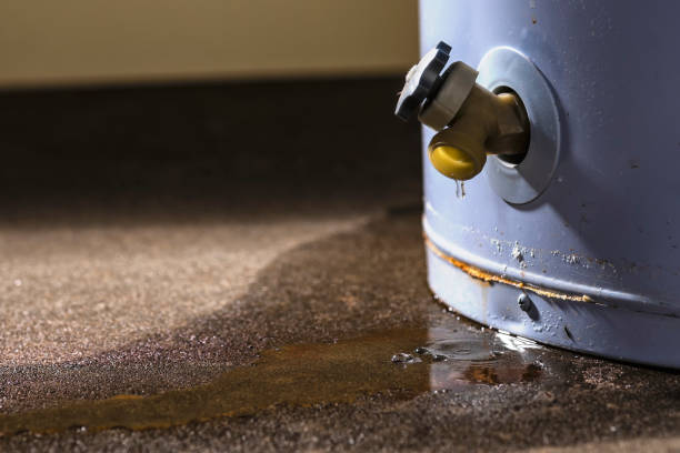 Best Fire Damage Restoration  in Ruhenstroth, NV