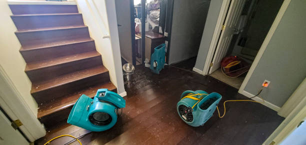 Best Flood damage cleanup  in Ruhenstroth, NV