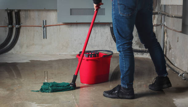 Best 24-hour water damage restoration  in Ruhenstroth, NV