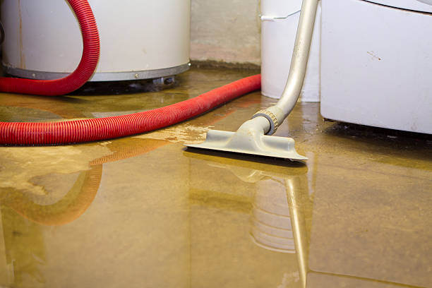 Best Water damage restoration near me  in Ruhenstroth, NV