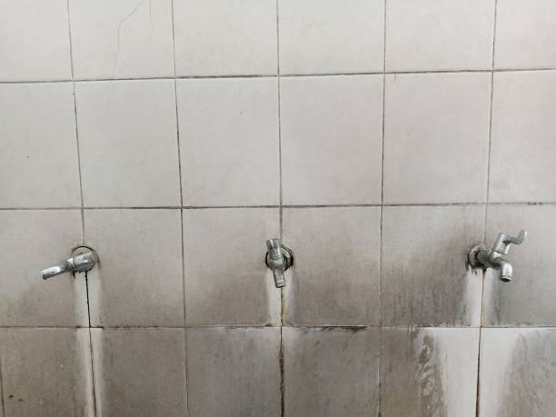 Best Mold removal after water damage  in Ruhenstroth, NV