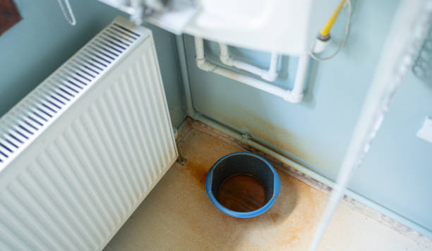 Best Water damage restoration near me  in Ruhenstroth, NV