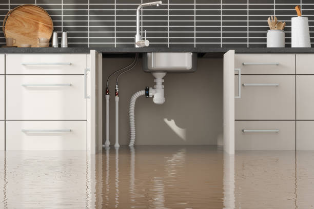 Best 24/7 water damage repair  in Ruhenstroth, NV