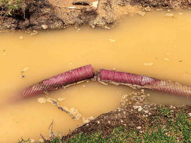 Best Residential water damage restoration  in Ruhenstroth, NV