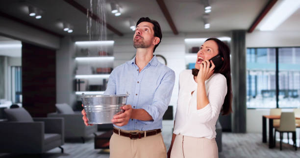 Best Professional water damage repair  in Ruhenstroth, NV
