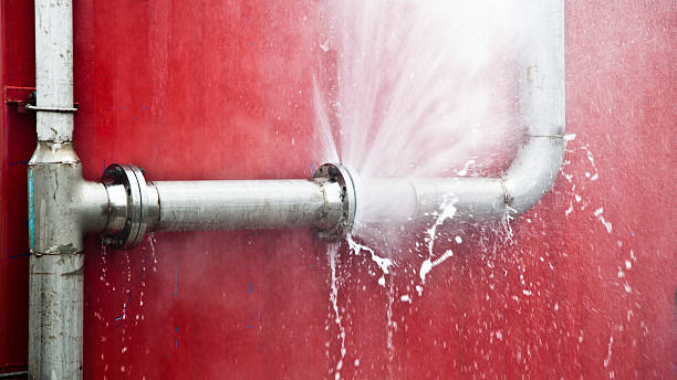 Best Water damage contractors near me  in Ruhenstroth, NV